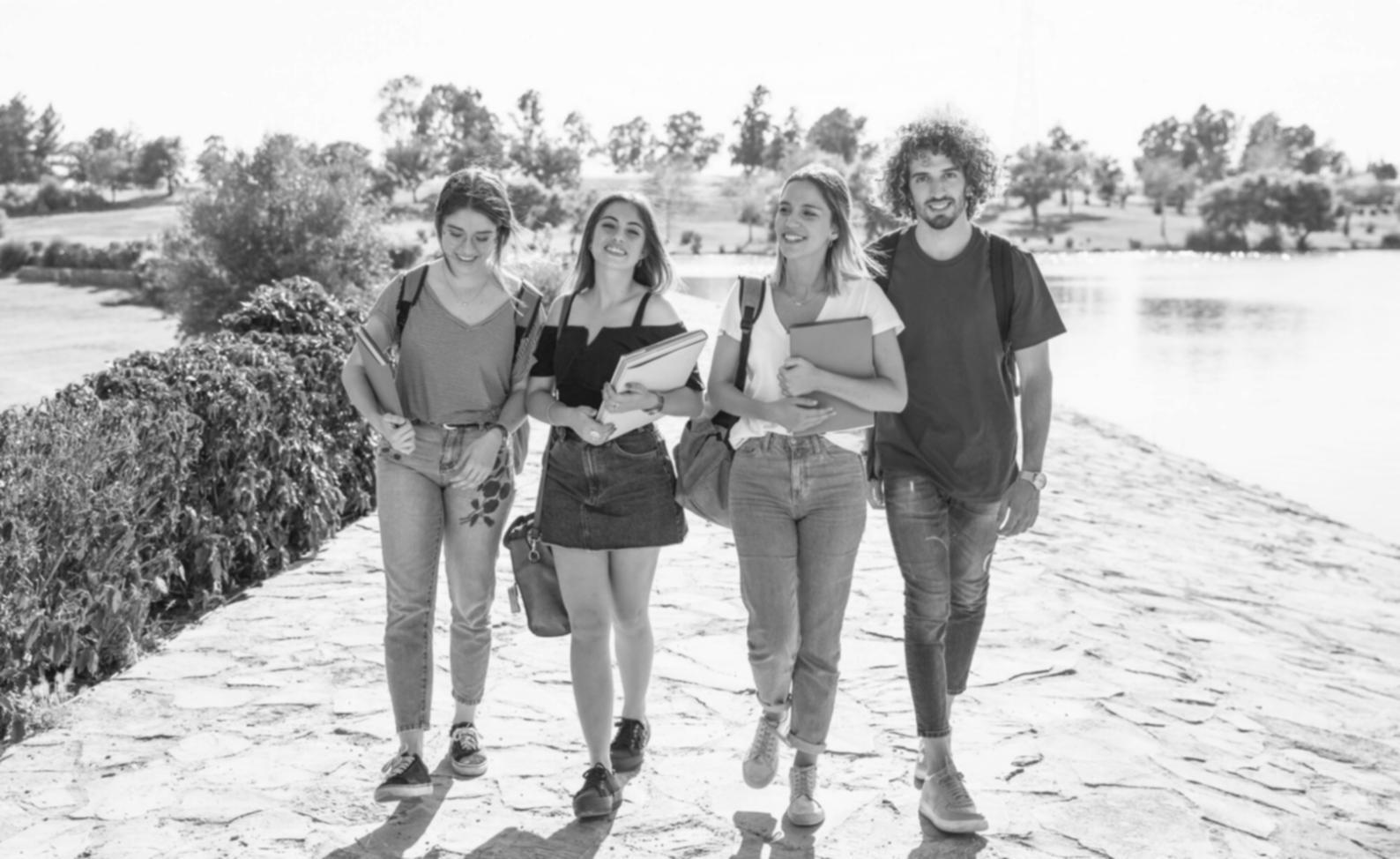 Revisión colaborativa de informes financieros en sesión práctica